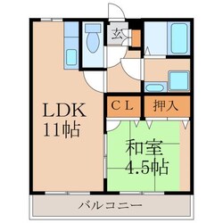 セルシオマンションの物件間取画像